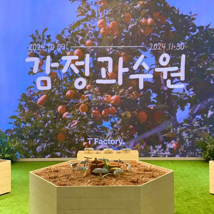  홍대 티팩토리 10월 11월 팝업 전시 '감정과수원'후기 (서울 실내데이트/웨이팅/체험방법)