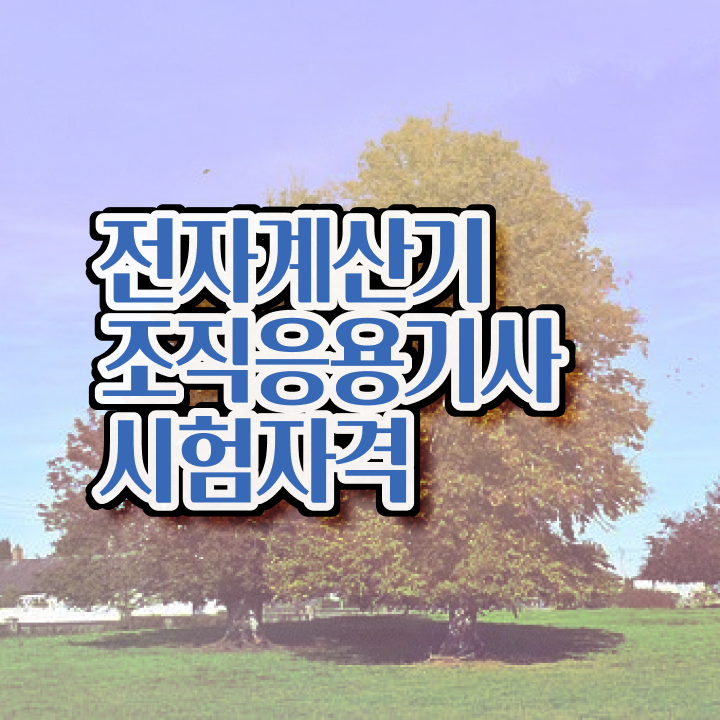  전자계산기조직응용기사 필기 시험 요건 전자계산기조직응용기사 시험응시자격 온라인 수업으로 간편하게 성공한 팁