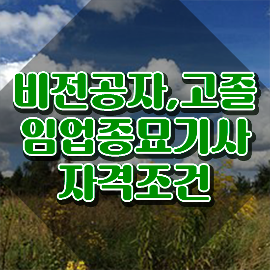  임업종묘기사 시험응시자격 독학으로 단기간에 끝낸 방법