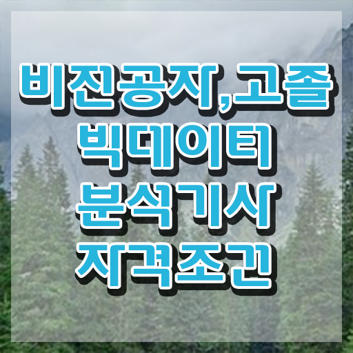  빅데이터분석기사 adp , 빅데이터분석기사 시험응시자격 인강만 듣고 간편하게 끝낸 비법