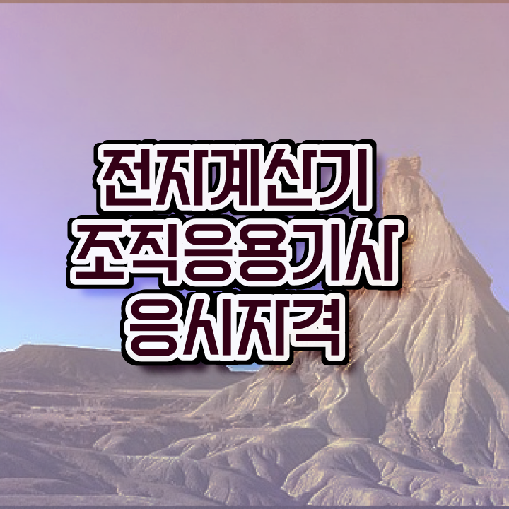  전자계산기조직응용기사 시험 준비물 전자계산기조직응용기사 응시자격 학점은행제로 간편하게 끝낸 후기