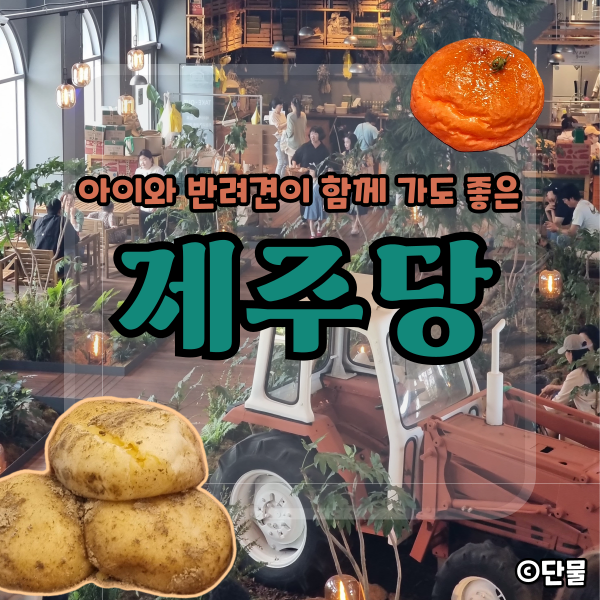  [제주/애월] 아이와 반려견이 함께 가면 좋은 제주당 (주말 방문 후기)