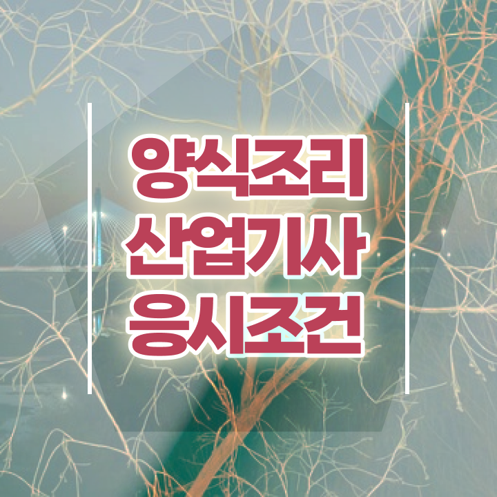  양식조리산업기사 자격요건 양식조리산업기사 시험응시조건 온라인 수업으로 편하게 끝낸 전략