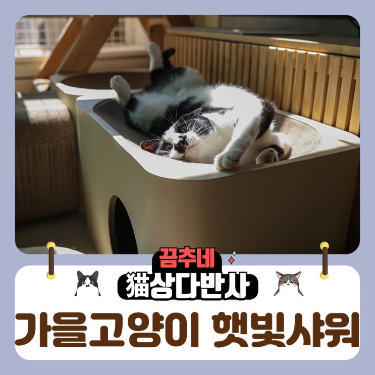  후추는 팡팟 미우하우스가...너무 좋아요