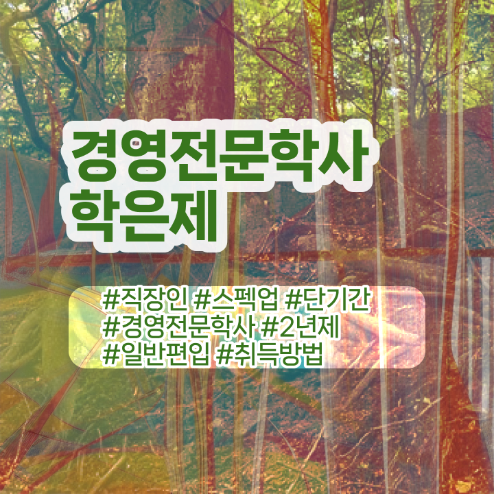  학점은행제 경영학 난이도 , 경영학 학위 온라인 과정 100%로 편하게 준비했던 꿀팁 모음