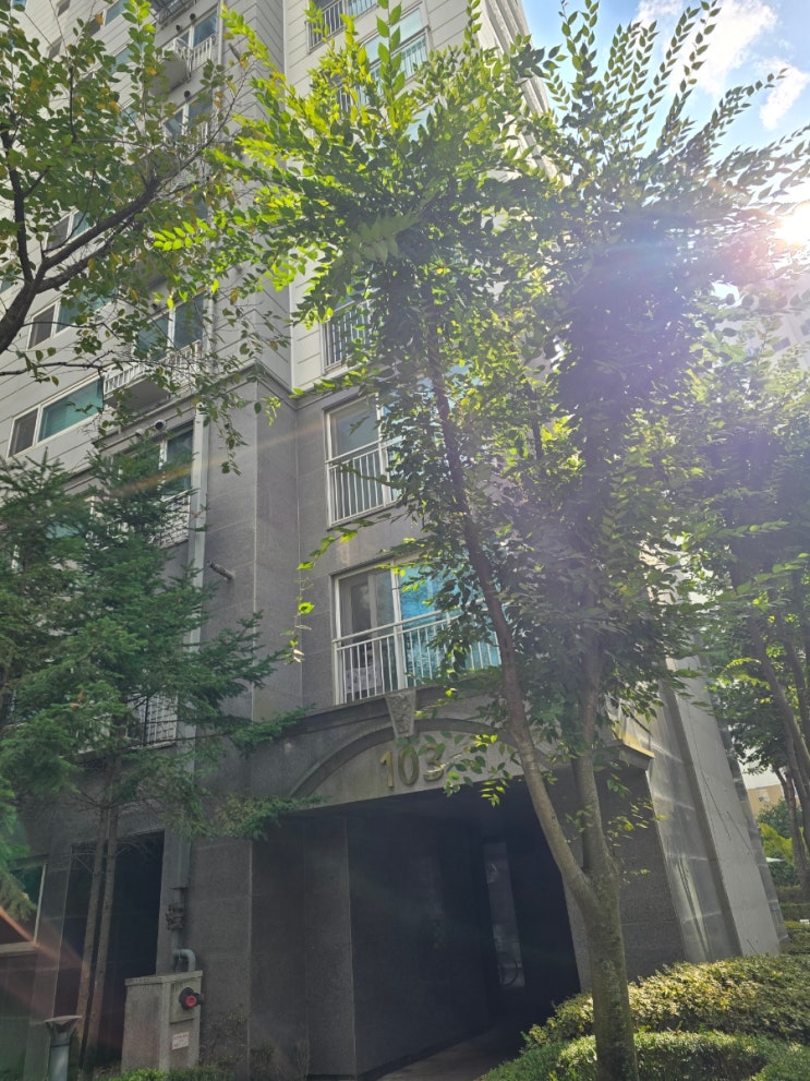  수원시 장안구 조원동(송원로) 수원광교산스위첸 아파트 103동 급수분배기 누수수리 작업 입니다.