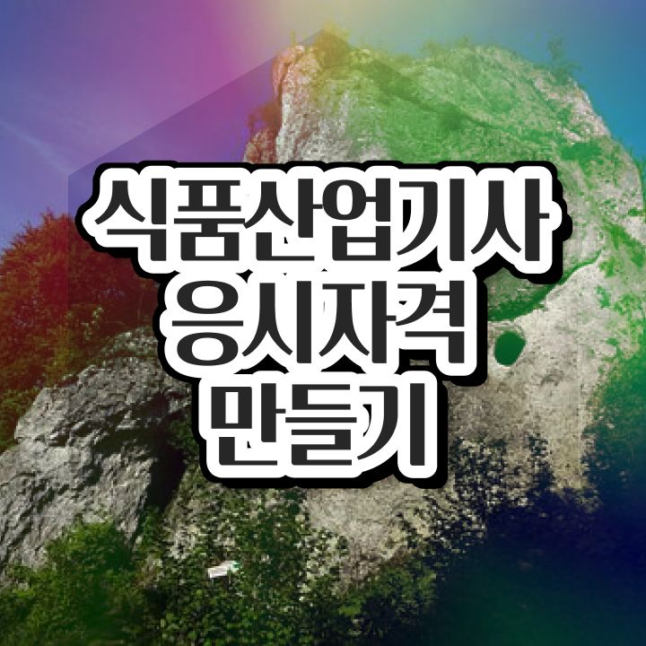  식품산업기사 자격조건 식품산업기사 자격요건 집에서 온라인으로 편하게 끝낸 팁