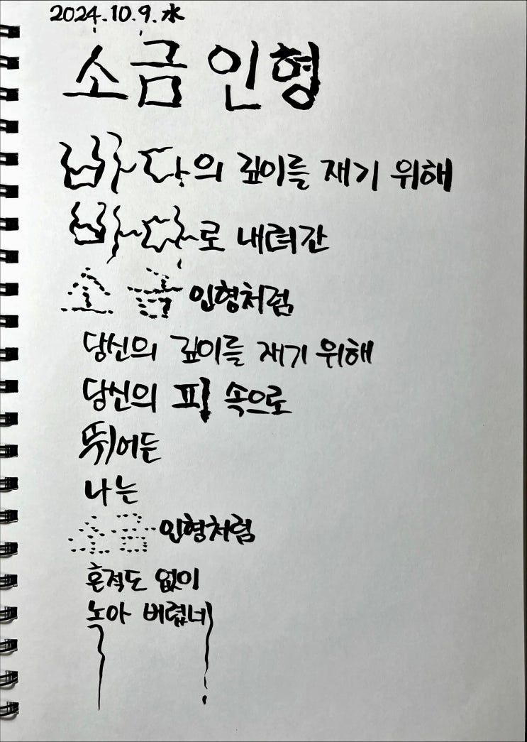  [필사] 소금인형-류시화