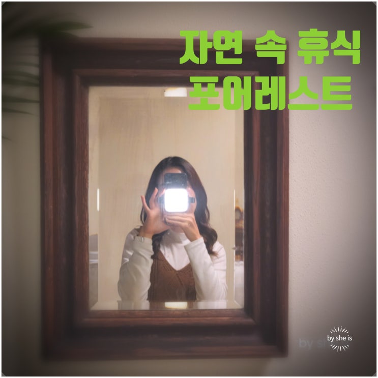  의정부대형카페 별이 보이는 새벽 카페 포어레스트
