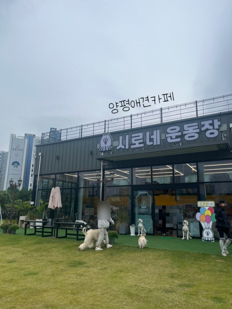 시로네운동장