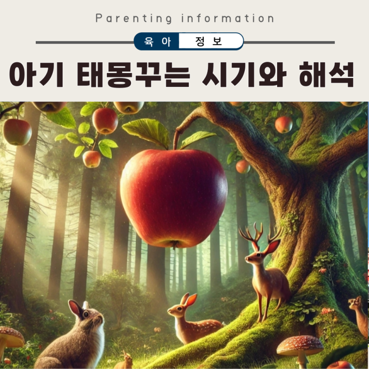  태몽 꾸는 시기 아들딸 태몽 종류와 해석 내가 꾼 딸 꿈