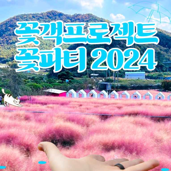  10월 전북 꽃축제 리스트 4가지 : 고창 꽃객프로젝트, 정읍 구절초 꽃축제, 전주 페스타, 익산 천만송이 국화축제