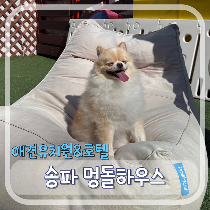사진 7