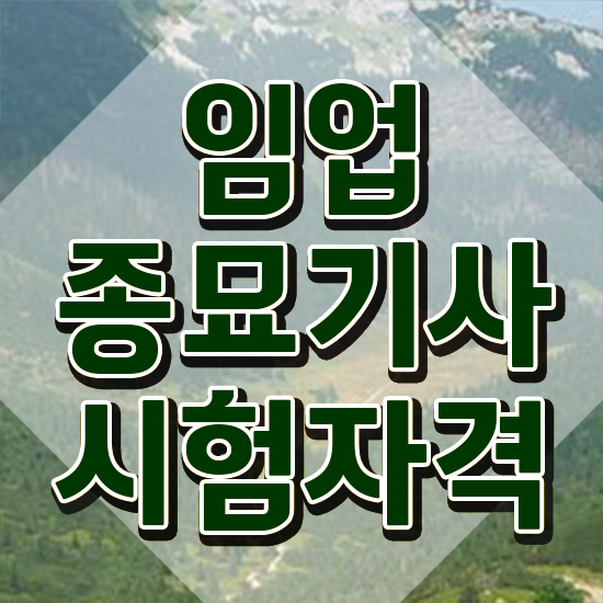  임업종묘기사 관련학과 임업종묘기사 취득자격 독학으로 간단하게 준비한 방법