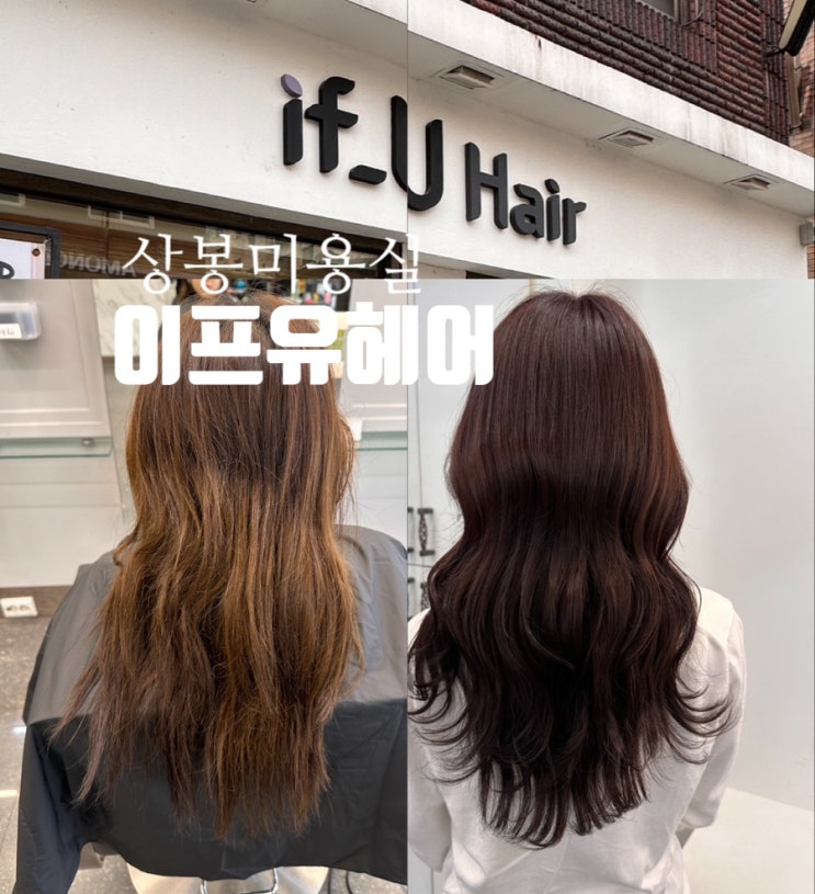  상봉미용실 이프유헤어 지현 디자이너 봄웜톤 염색 레드브라운 강추후기