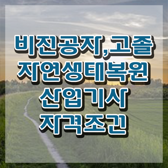  자연생태복원산업기사 학점은행제 자연생태복원산업기사 시험응시조건 온라인으로 편하게 성공한 전략