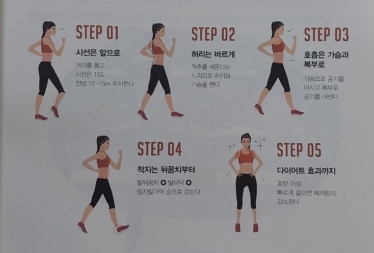  중년 다이어트, 대사 증후군 관리