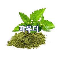  (인디샘) 인도에서 툴시(Tulsi)/홀리 바질의 제품/상품의 형태 별 제조가격/수출가격/도매가격 알아보기