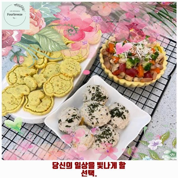 뚜드림 애견 유치원
