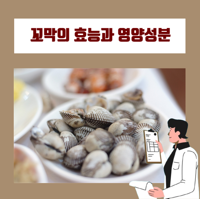  제철 꼬막의 효능, 영양성분, 보관방법은 무엇일까?