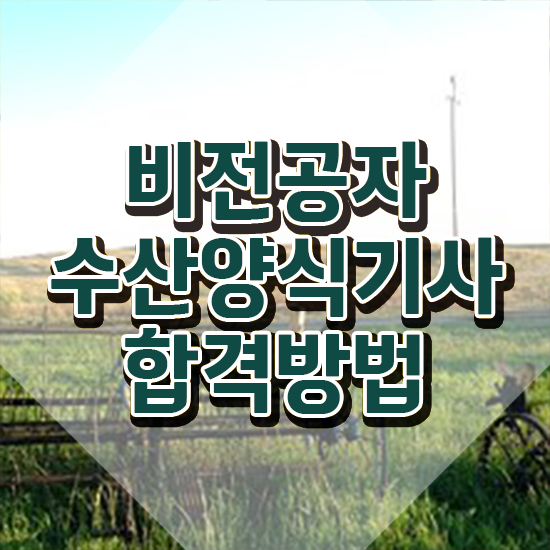  수산양식기사 필기시험 준비물 수산양식기사 자격요건 온라인 수업으로 쉽고 빠르게 끝낸 방법