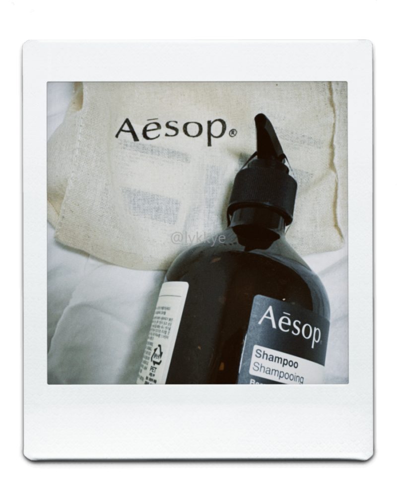 [공병 리뷰] 지성 두피인의 AESOP 이솝 Shampoo 샴푸 사용 후기