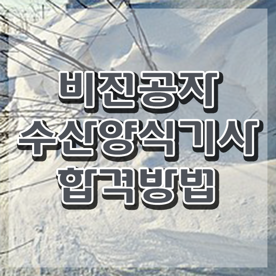  수산양식기사 응시조건 온라인 과정으로 간단하게 완료한 후기