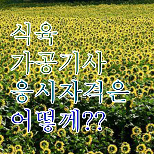 식육가공기사 자격요건 독학으로 편하게 성공한 방법