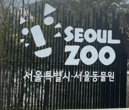  동물들을 보며 가을 나들이 하기 좋은 과천 서울대공원 feat. 레서판다
