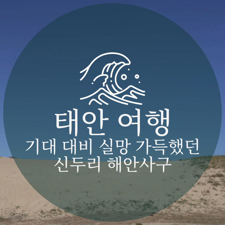  실망 가득했던 태안 신두리 해안사구, 기대가 너무 컸던걸까...