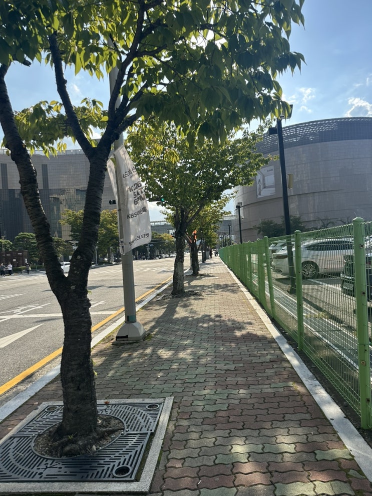  2024 부산국제영화제 일곱째날