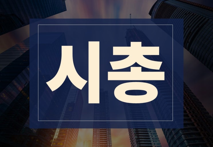  시총 뜻 시총 순위 알아보겠습니다.