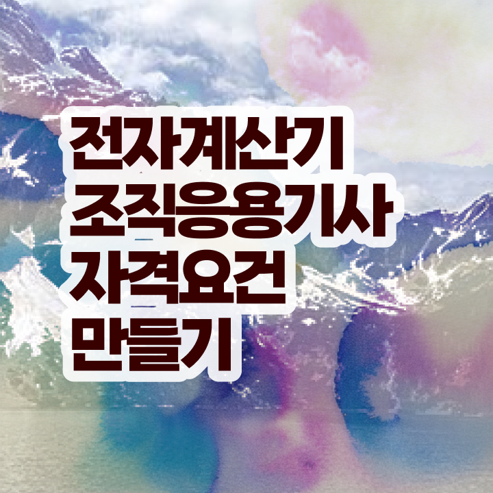  전자계산기조직응용기사 응시조건 전자계산기조직응용기사 시험응시조건 독학으로 간단하게 성공한 팁