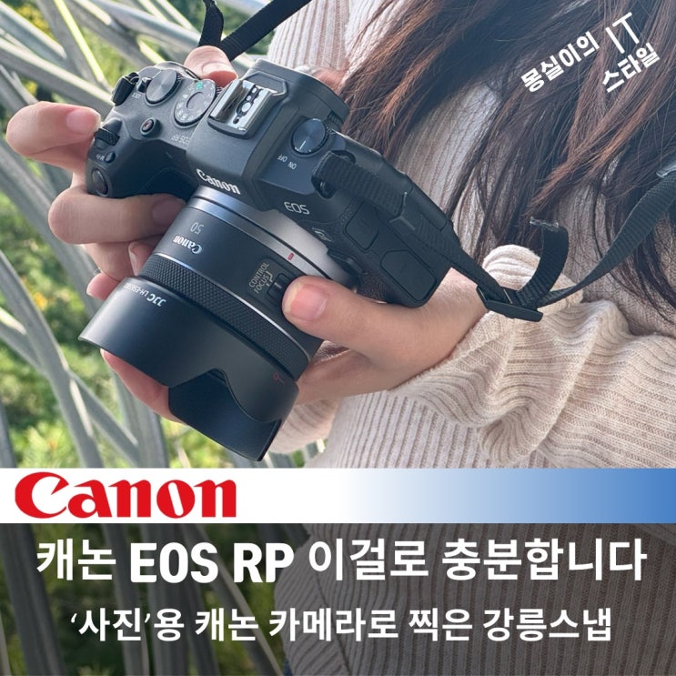  나에겐 충분한 풀프레임, 캐논 EOS RP 들고 다녀온 강릉스냅 feat 알쩜팔 렌즈(RF50mm F1.8)