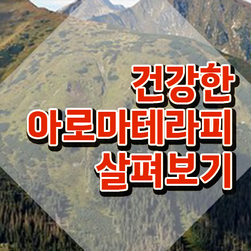  아로마뷰티diy지도사 공부방법 , 아로마뷰티DIY지도사 자격증 온라인으로 준비한 과정 궁금하다면