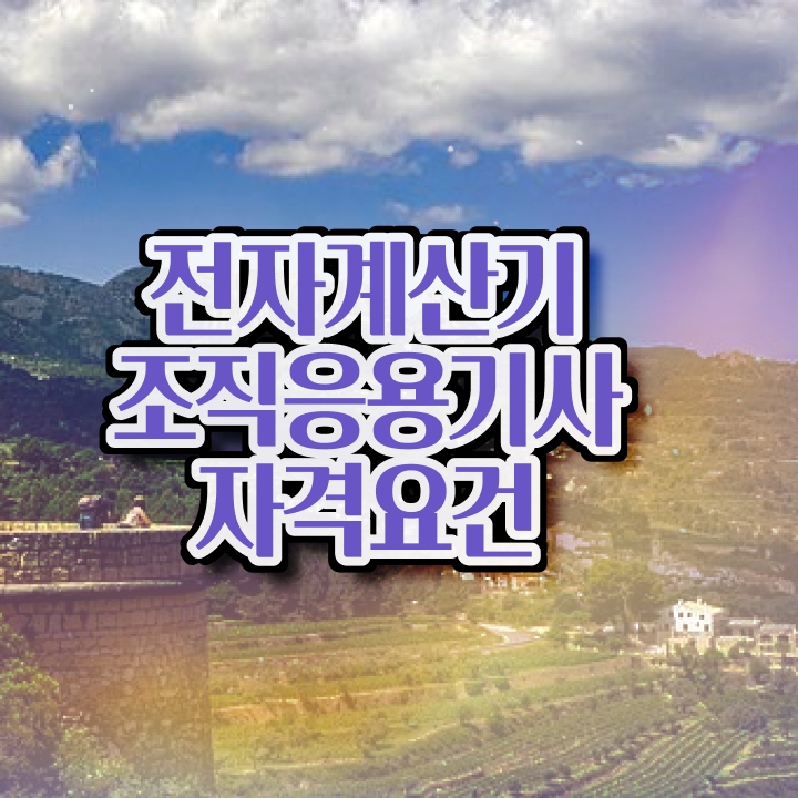  전자계산기조직응용기사 시험응시 요건 전자계산기조직응용기사 시험응시자격 온라인 과정으로 빠르게 준비한 비법