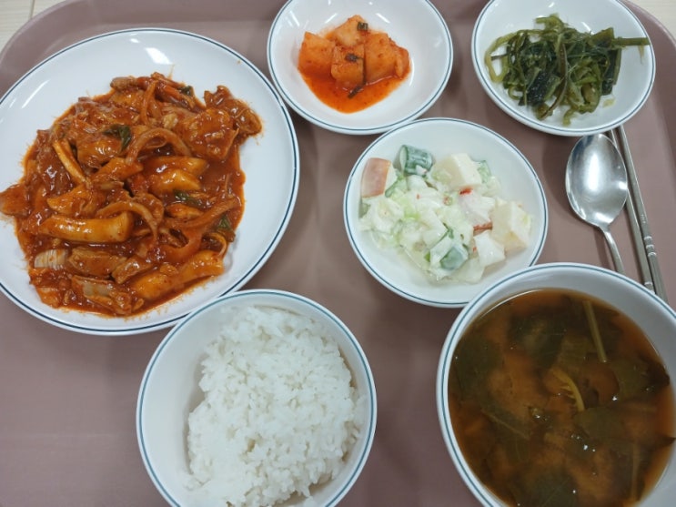  [서울대] 251008 동원관 점심