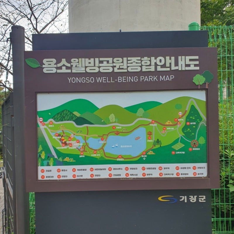 사진 8