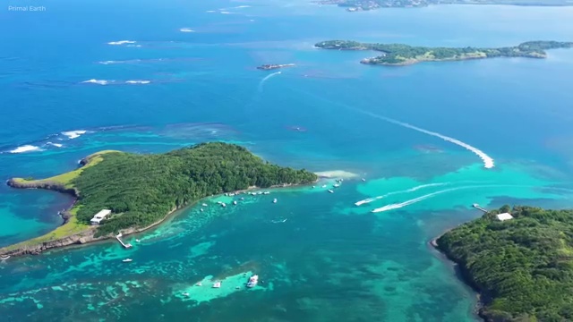 반려동물관리사 1급 , 반려동물관리사 자격증 직장인도 쉽게 학습한 후기 알아볼게요