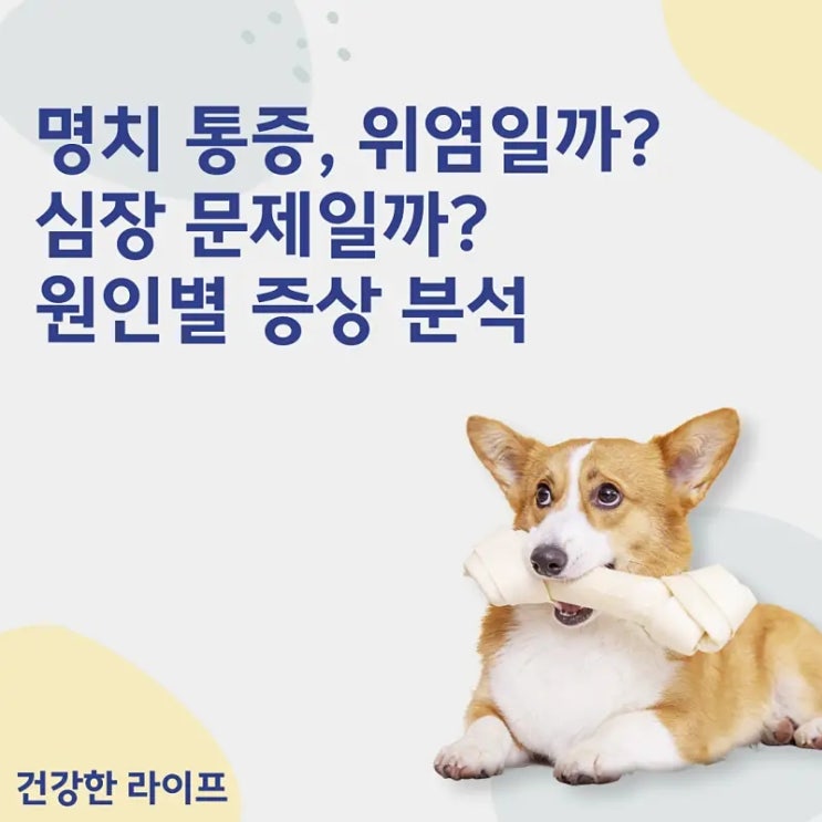  명치 통증, 위염일까? 심장 문제일까? 원인별 증상 분석