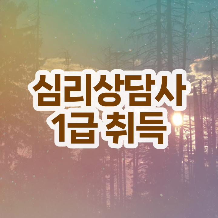  고졸심리상담사 , 심리상담사 자격증 2주 만에 시험준비 핵심 정보 정리