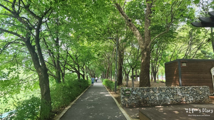  양재천 양재시민의숲 서울 강남 공원 가을 데이트 가볼만한곳 나들이 추천