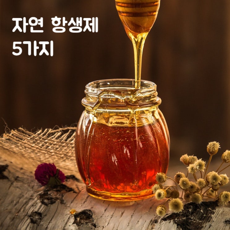  항생제 효과의 자연치료제 5가지
