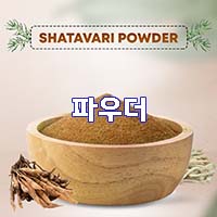  (인디샘) 인도에서 샤타바리(Shatavari)의 제품/상품의 형태 별 제조가격/수출가격/도매가격 알아보기