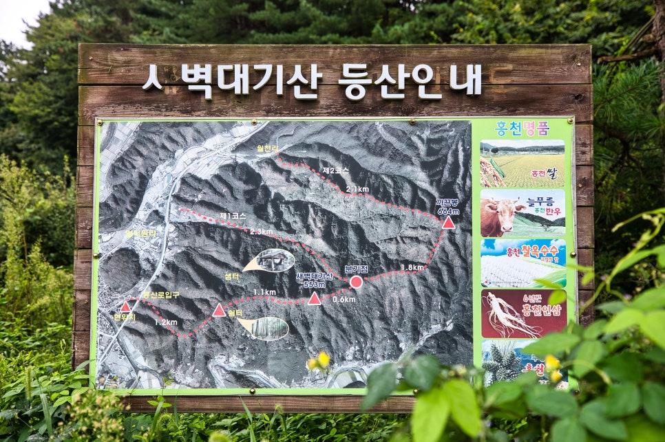 새벽대기산 사진 2