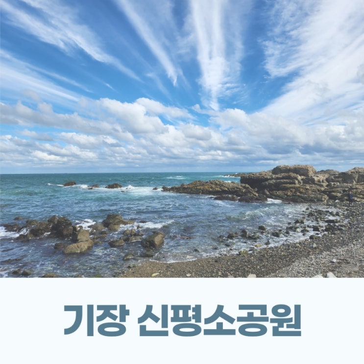  부산 기장 해루질 신평소공원에서 주말 아이랑 함께