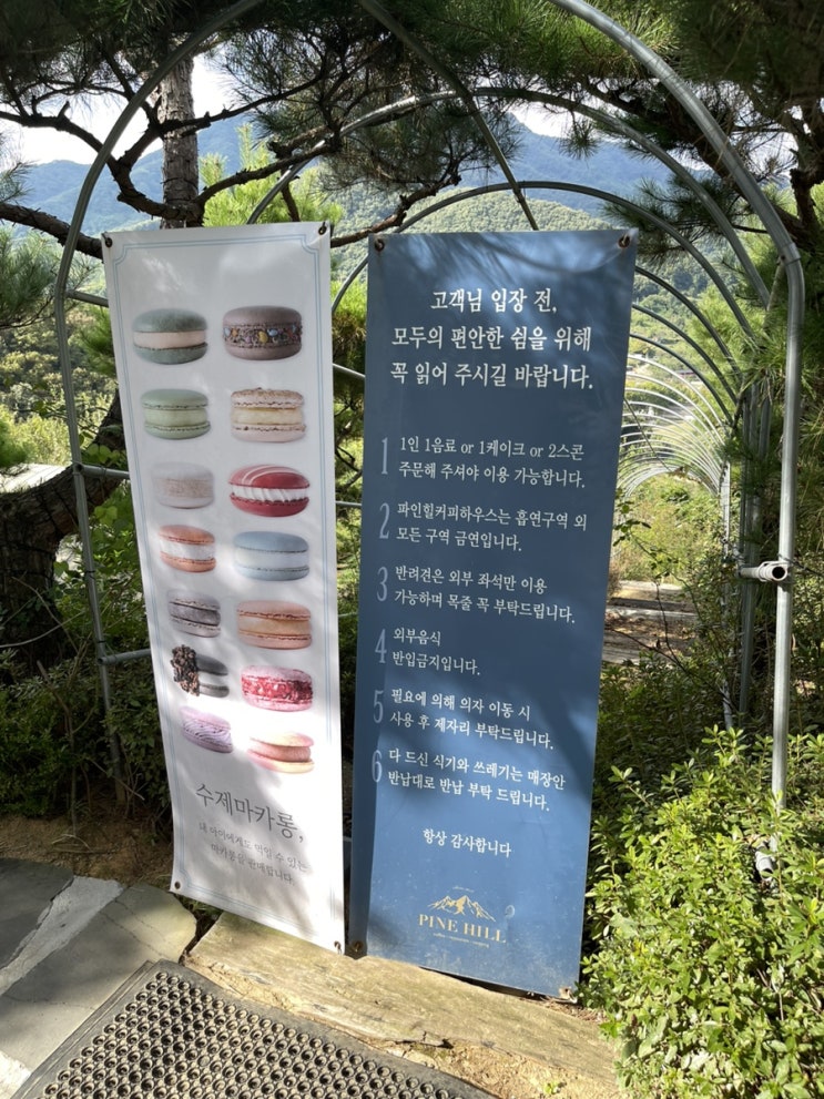  동두천 마운틴 뷰 맛집 파인힐 커피 하우스 내 돈 내산 후기