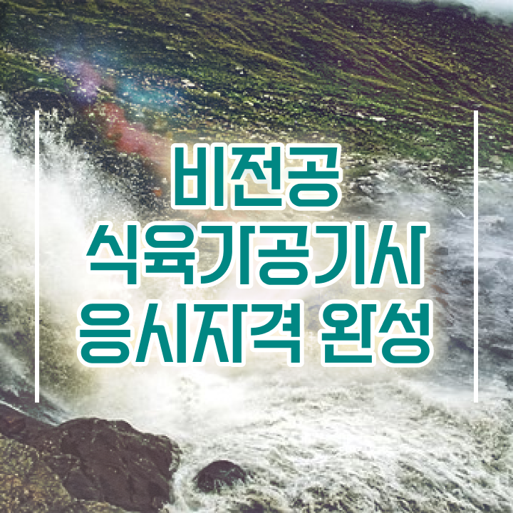  식육가공기사 시험응시조건 독학으로 쉽고 빠르게 준비한 팁