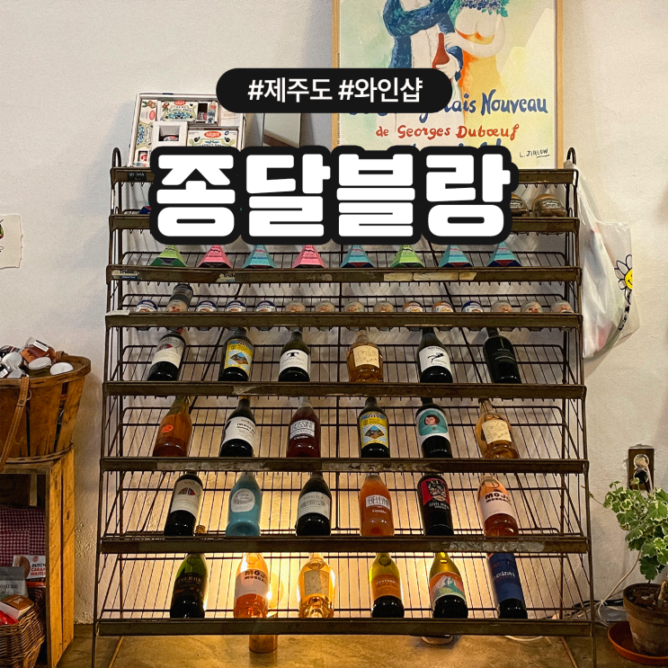  제주도 구좌읍 종달리 와인샵 종달블랑 애견동반 가능