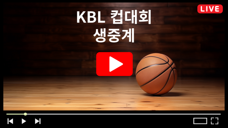 경기일정 <b>DB 손해보험</b> <b>프로농구</b> 제천체육관 실시간 라이브... 